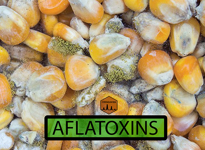 Aflatoxins: Poisonous and Carcinogen Compounds (Part 1)