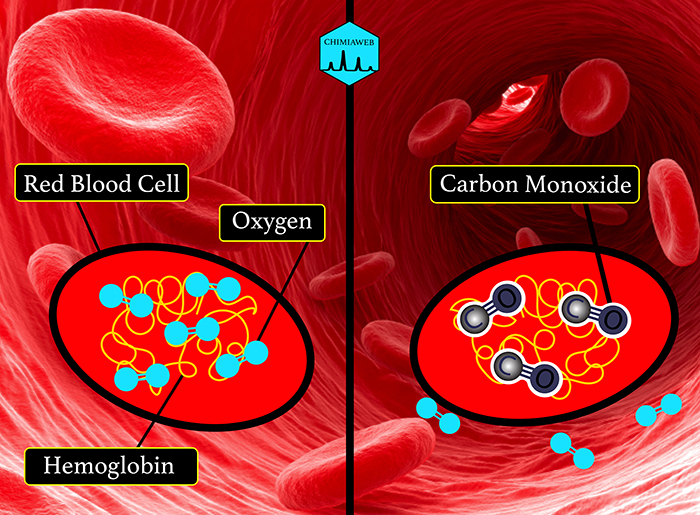 How Does Carbon Monoxide Affect the Human Body?