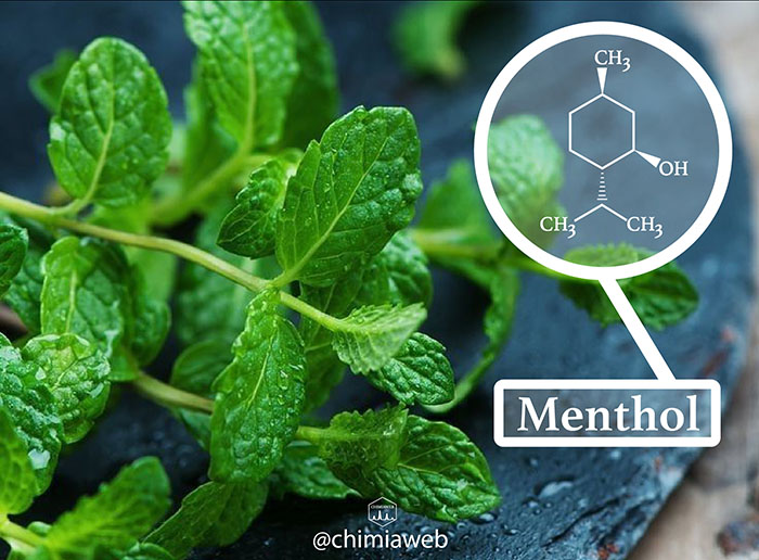 What Chemical Compound in Peppermint Makes The Mouth Feel Cool?