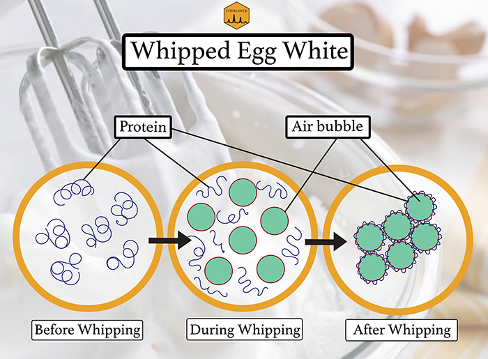 What Is the Science behind Formation of Egg White Foam?